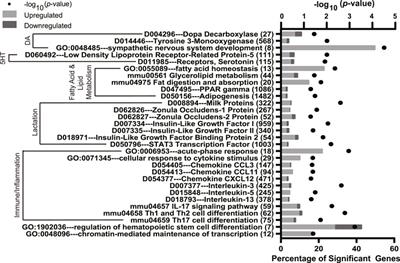 Impact of Fluoxetine Treatment and Folic Acid Supplementation on the Mammary Gland Transcriptome During Peak Lactation